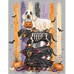 Halloween-WS 11988